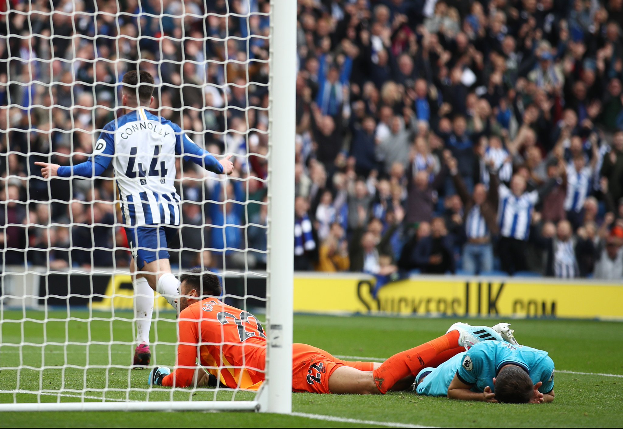 将带来不可 将带来不可