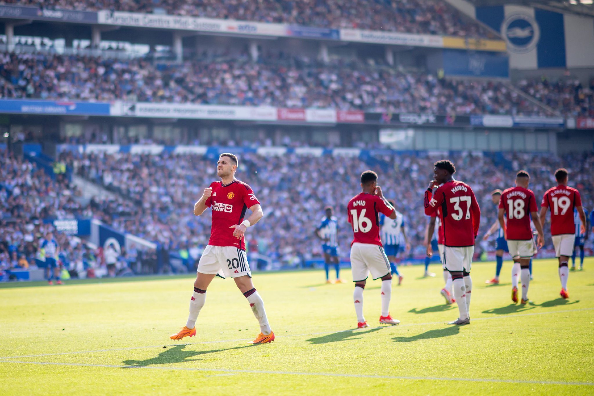 分析和巧妙 分析和巧妙